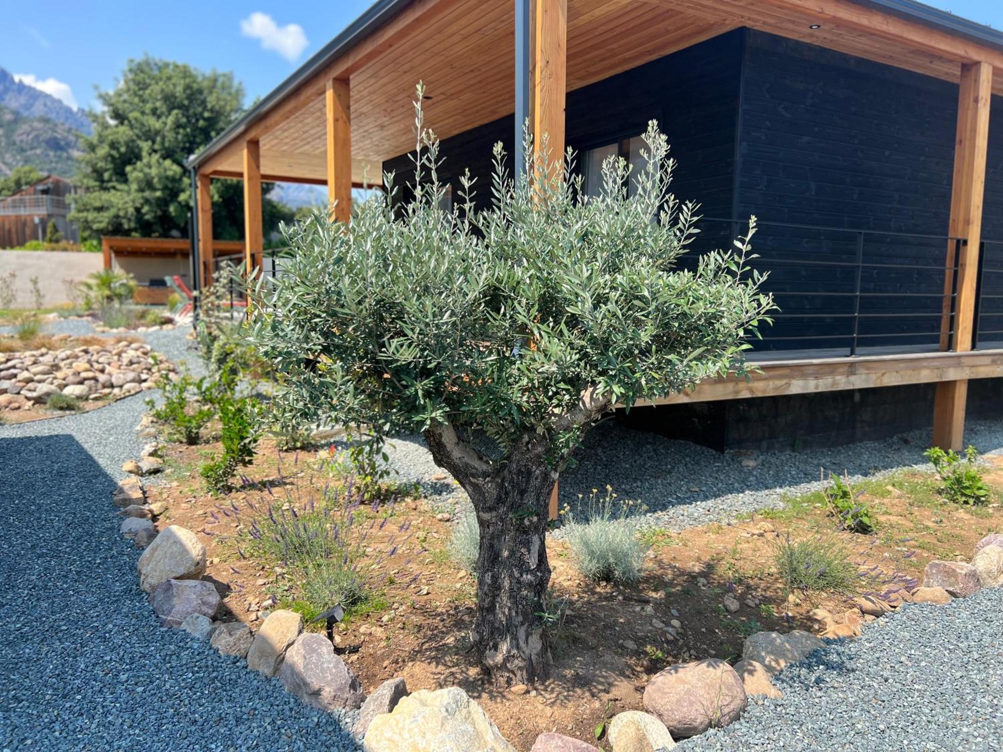 Villas Vallee D'Asco Moltifao ภายนอก รูปภาพ