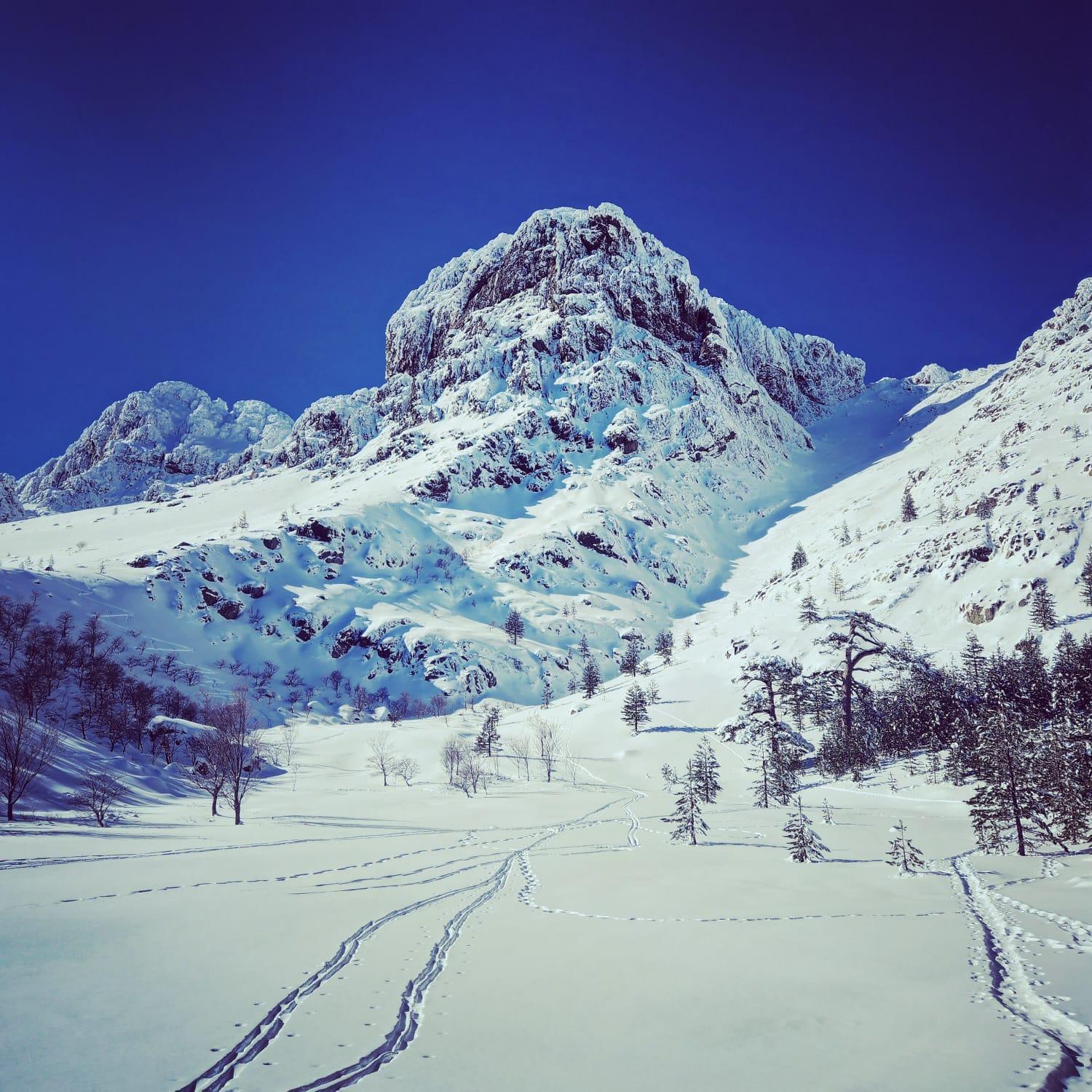 Villas Vallee D'Asco Moltifao ภายนอก รูปภาพ