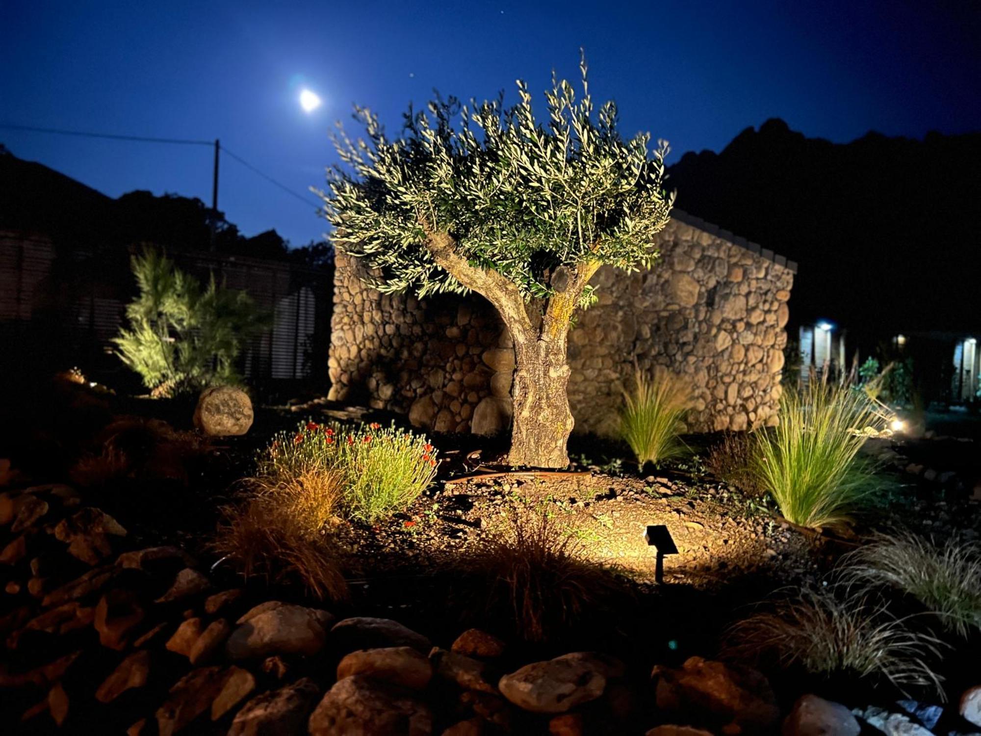 Villas Vallee D'Asco Moltifao ภายนอก รูปภาพ